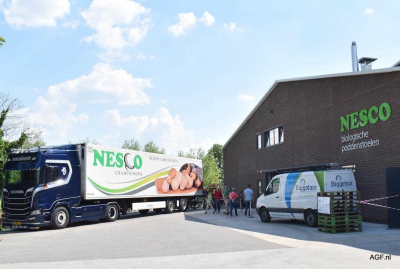 近年來(lái)，荷蘭食用菌產(chǎn)業(yè)發(fā)展情況如何？