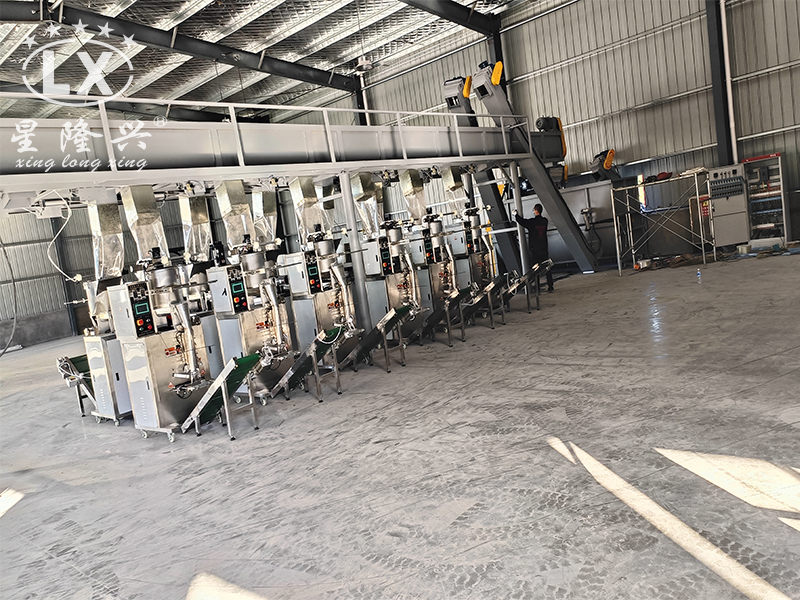 羊肚菌生產(chǎn)線 羊肚菌生產(chǎn)線