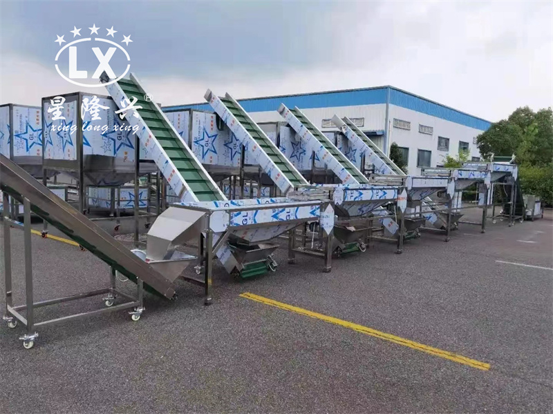 香菇木耳篩選生產(chǎn)線(xiàn)