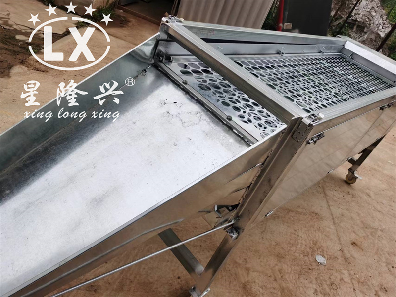 香菇篩選機(jī) 香菇篩選機(jī)